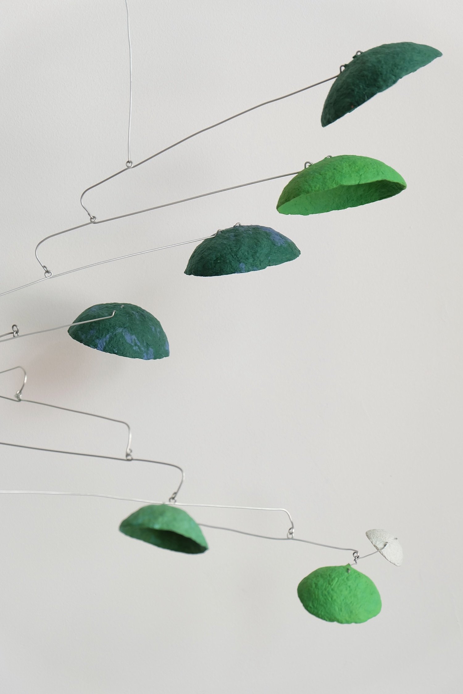 Green Umbrella 01 (2).jpeg