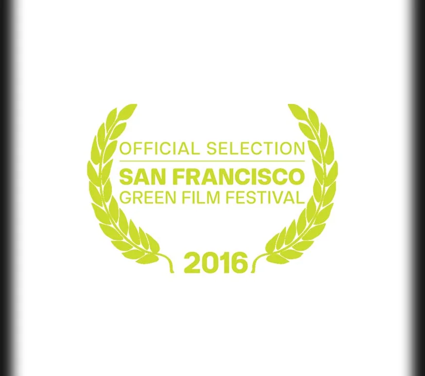 SanFranGreen3.jpg