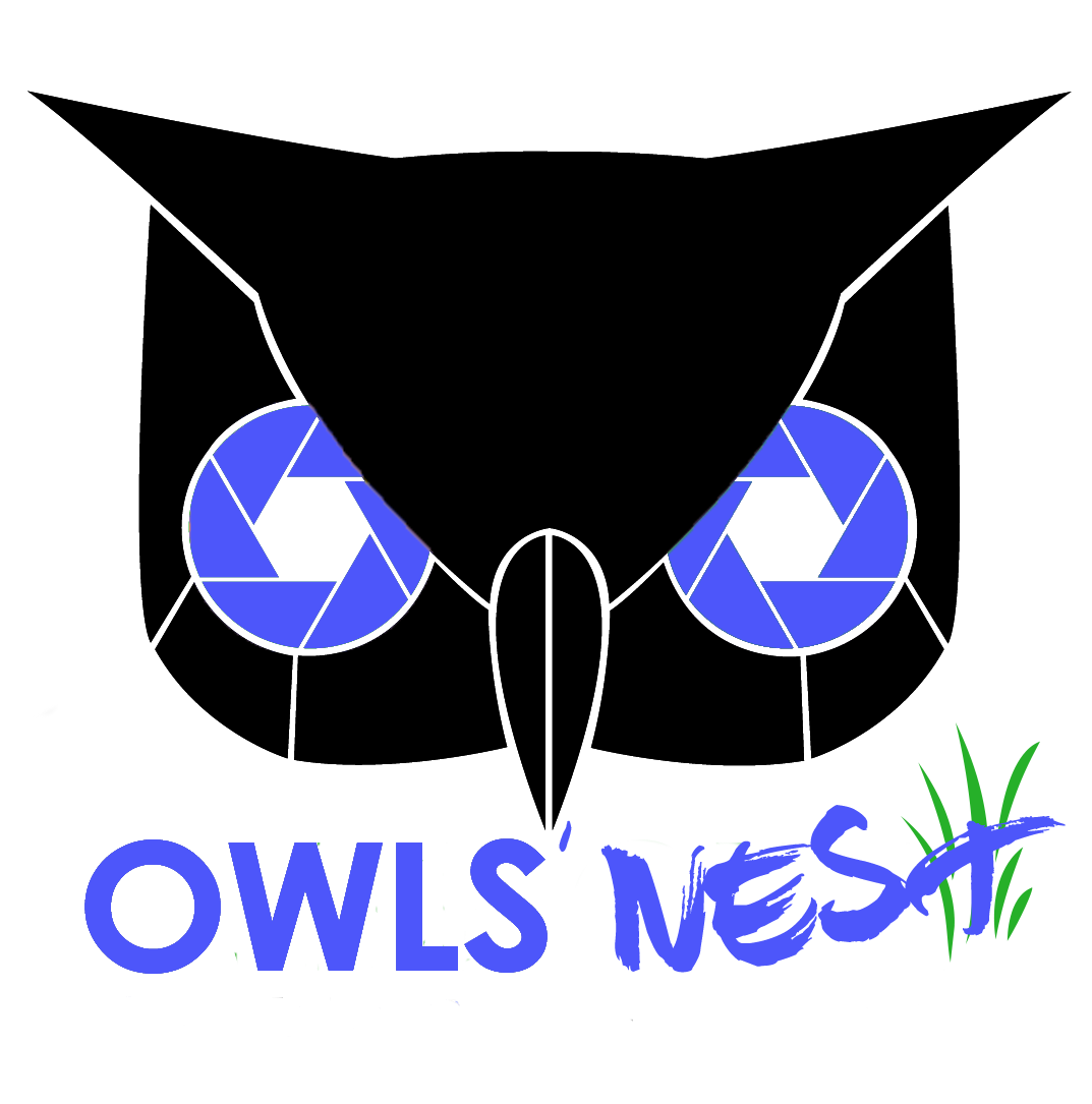 OwlsNest.png