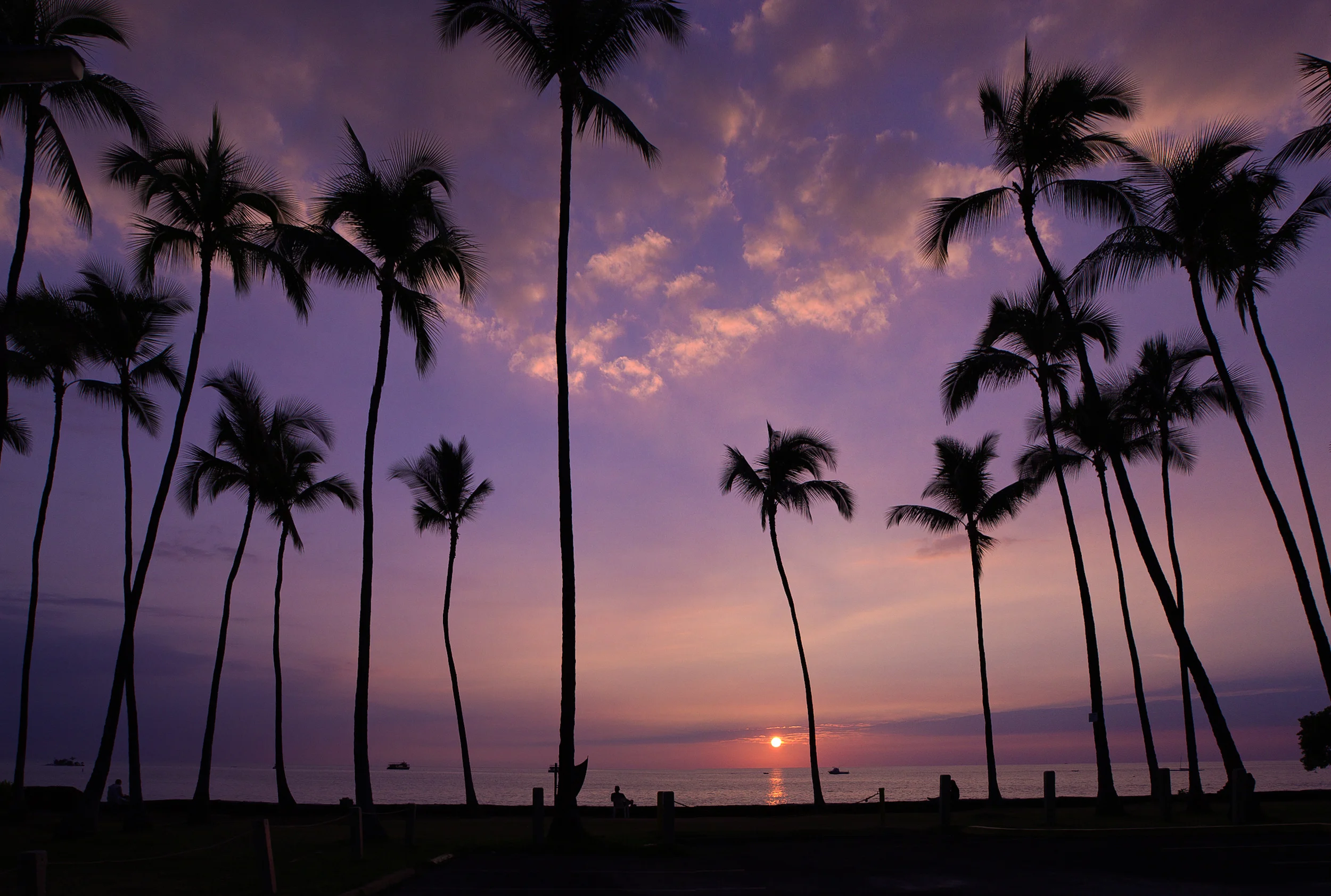 Hawaii Panoramaweb.jpg