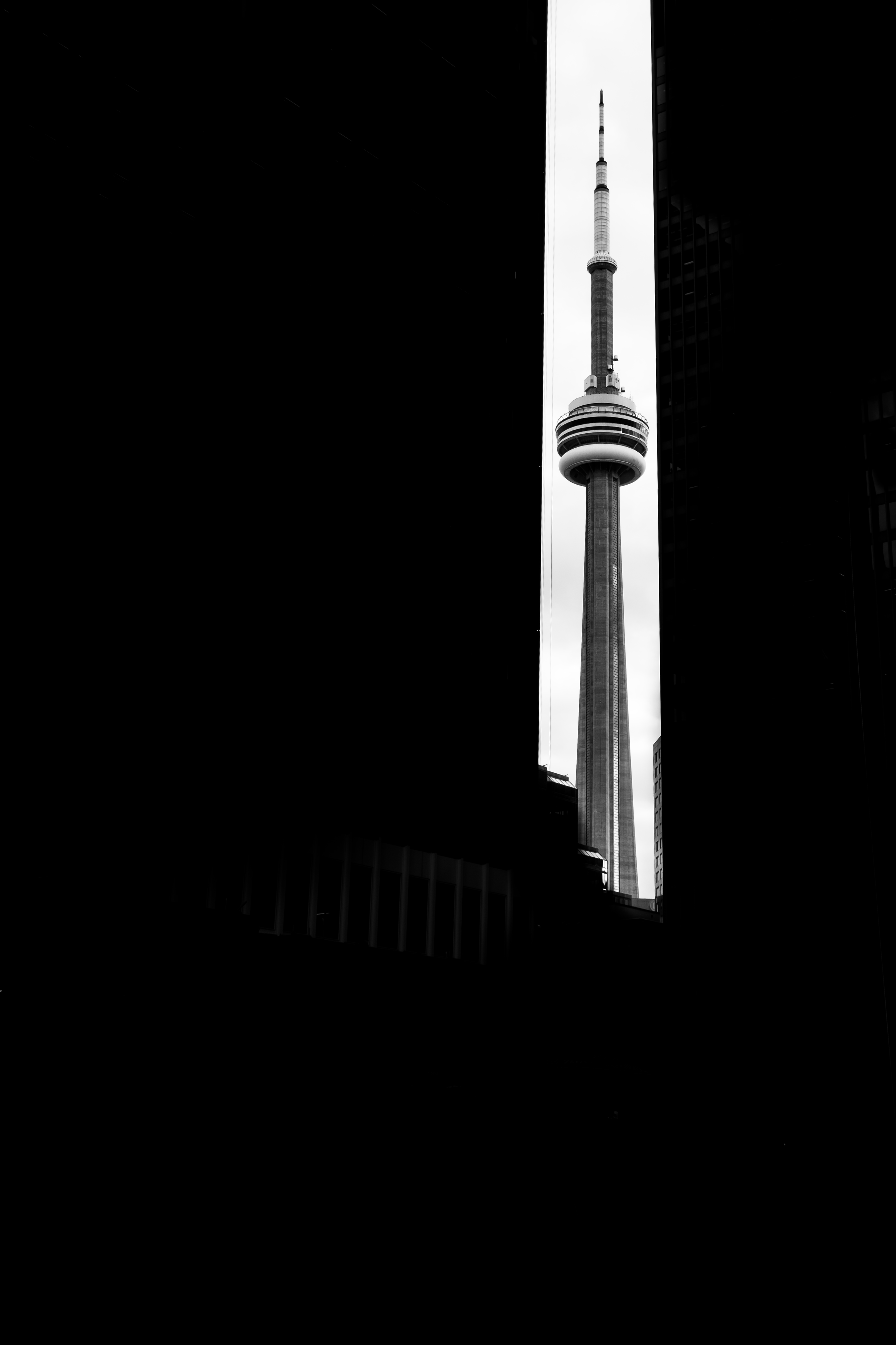 TORONTO IMPRESSION-1.png