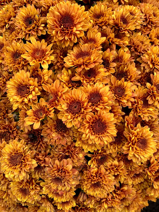 Links I Liked: September + October 2019