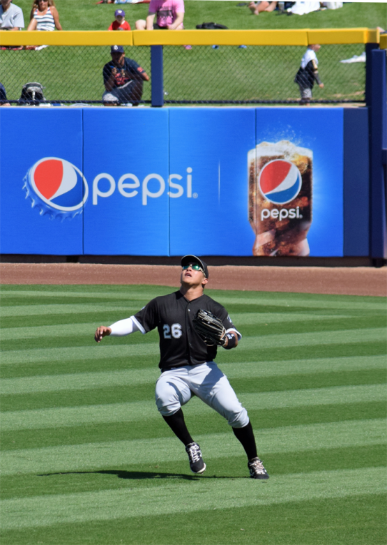 avi-fielding-copy.png