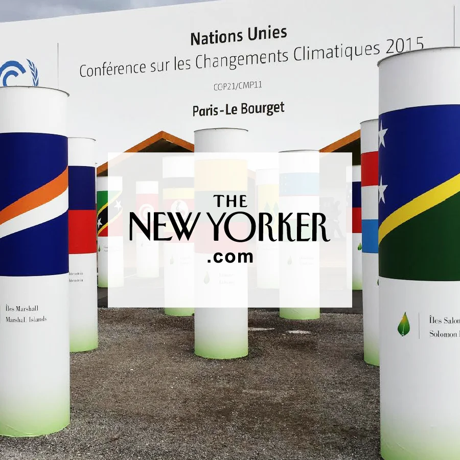 Signal and Noise at the Paris Climate Summit
