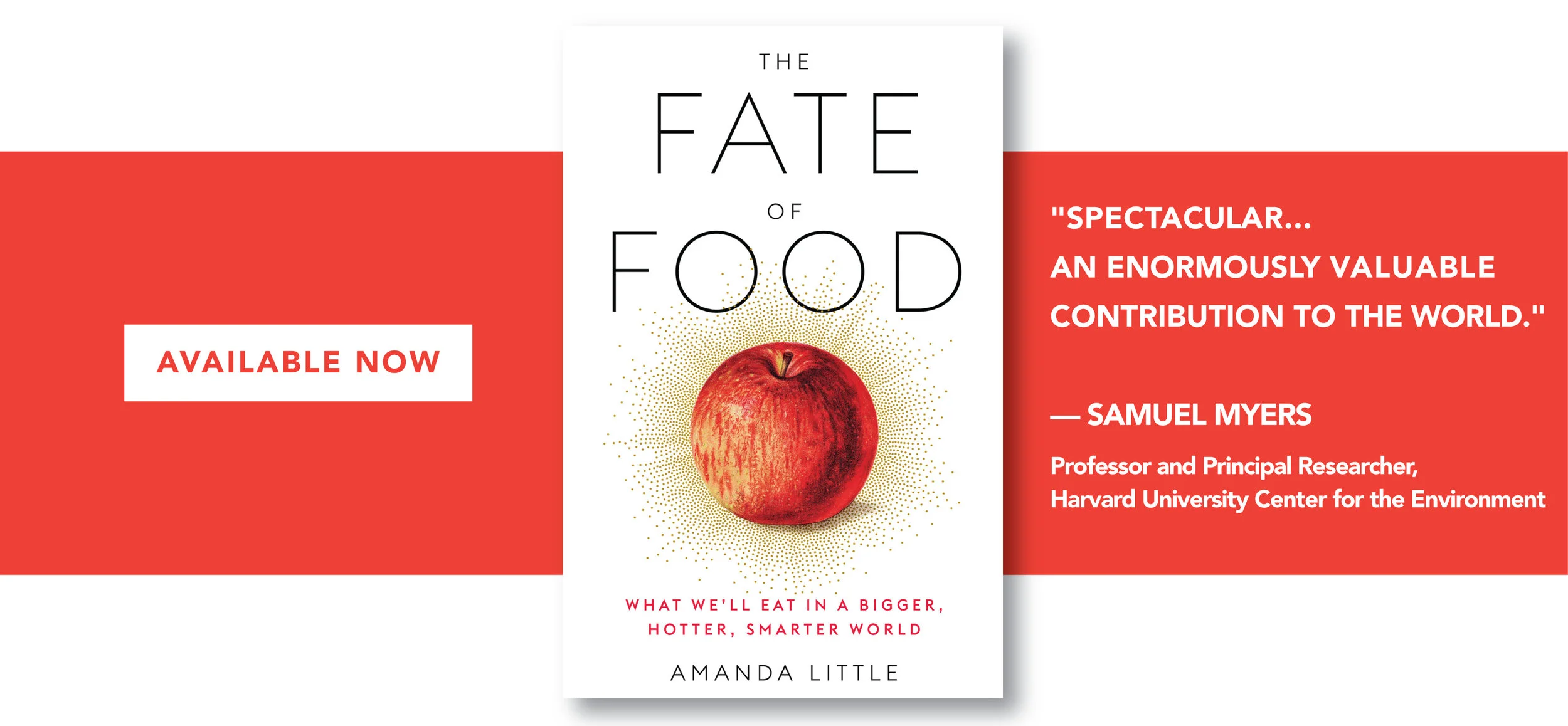 amanda slides_avail now-short blurbs-06.jpg