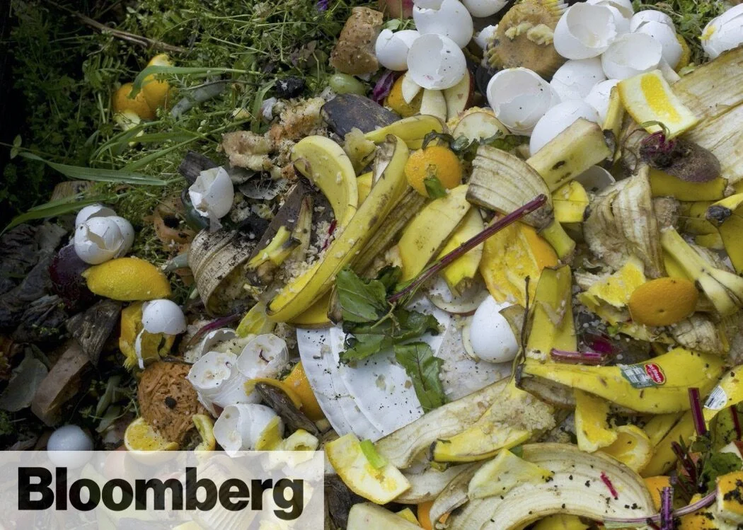 There's No Excuse For How Much Food You're Wasting