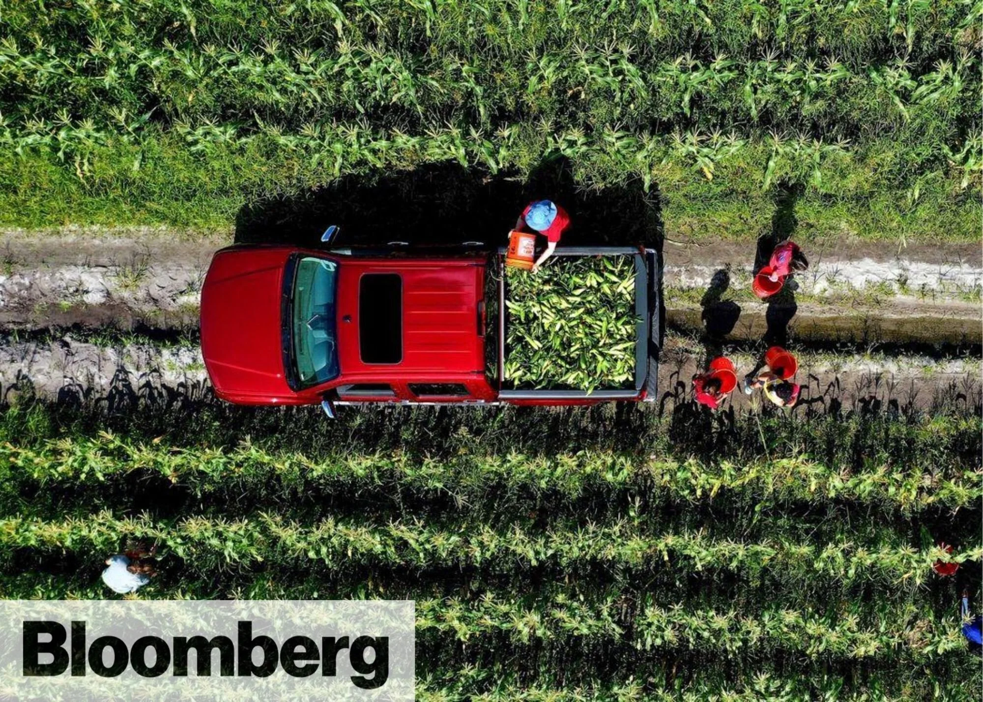 Feeding America Should Become a Federal Priority