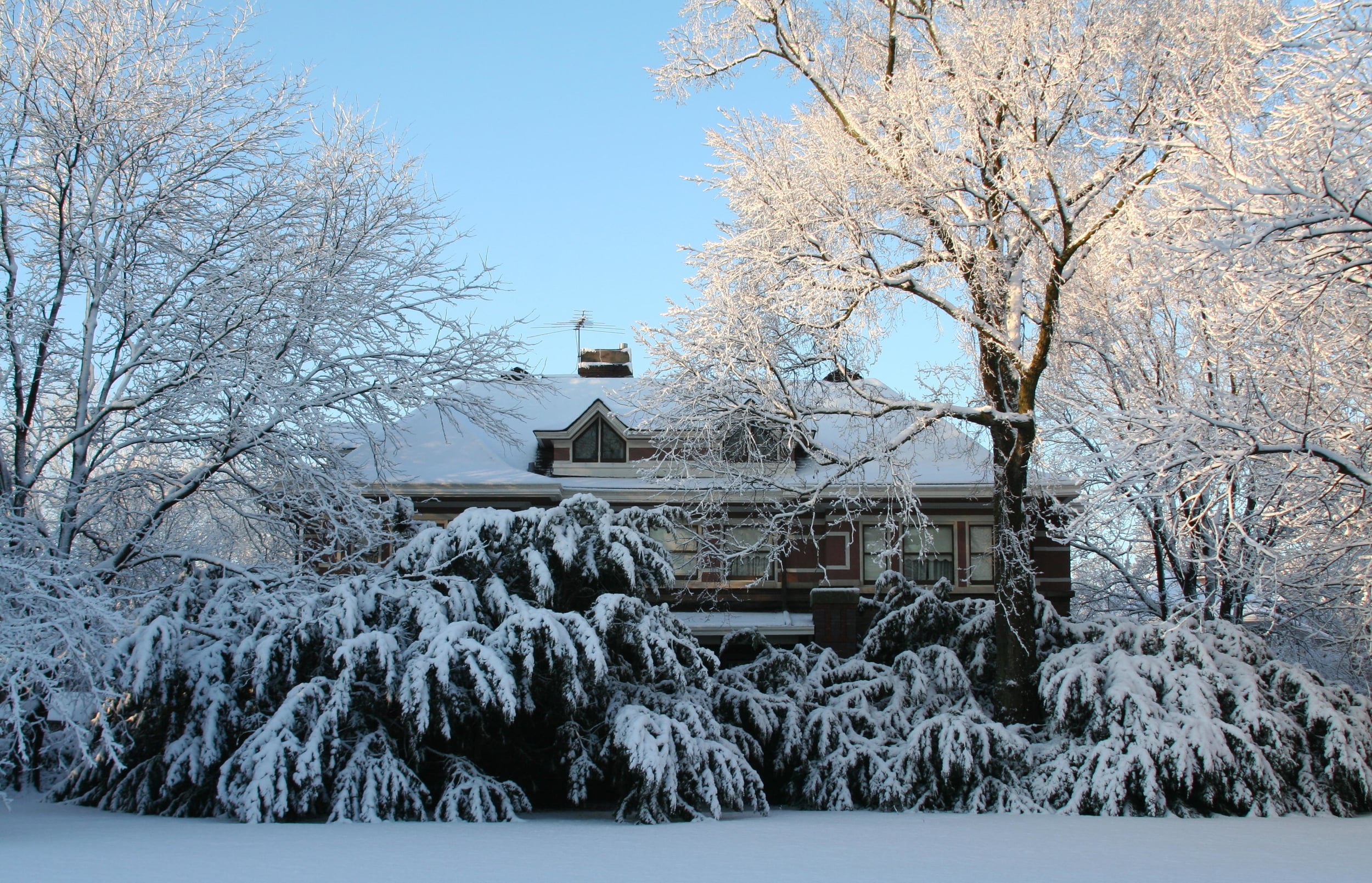   Addison Winter  