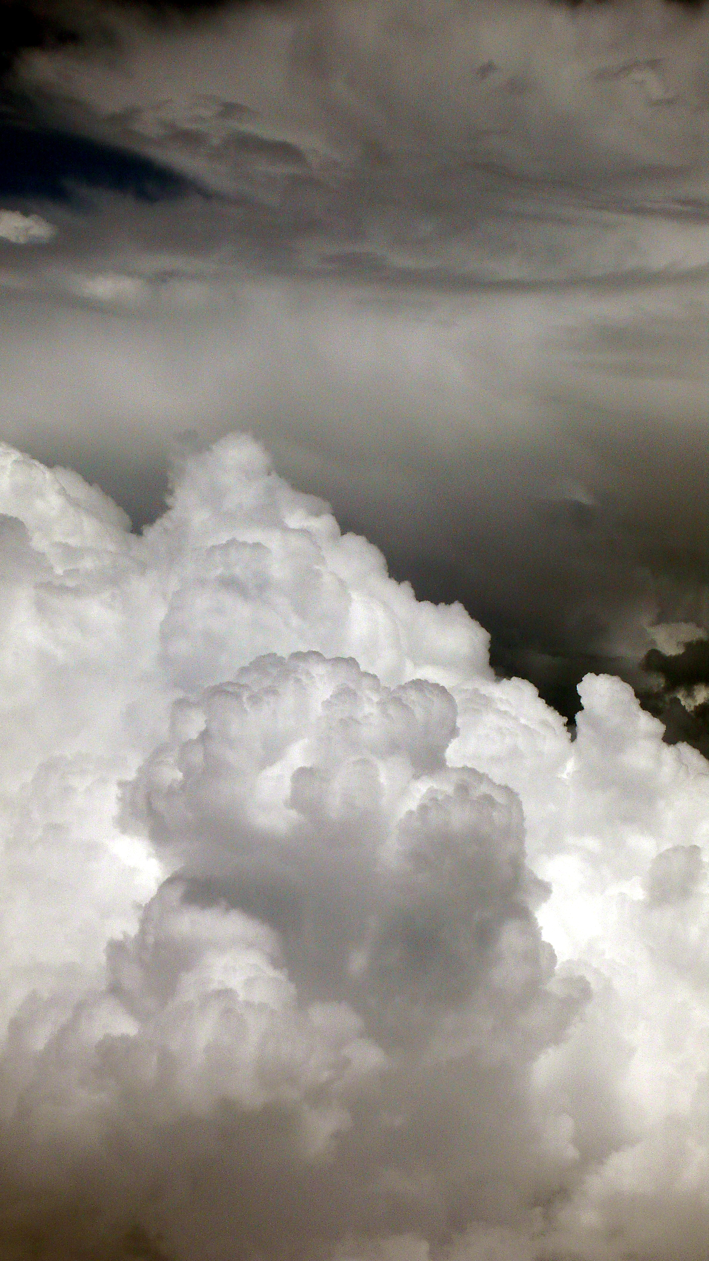 L1030147a.jpg