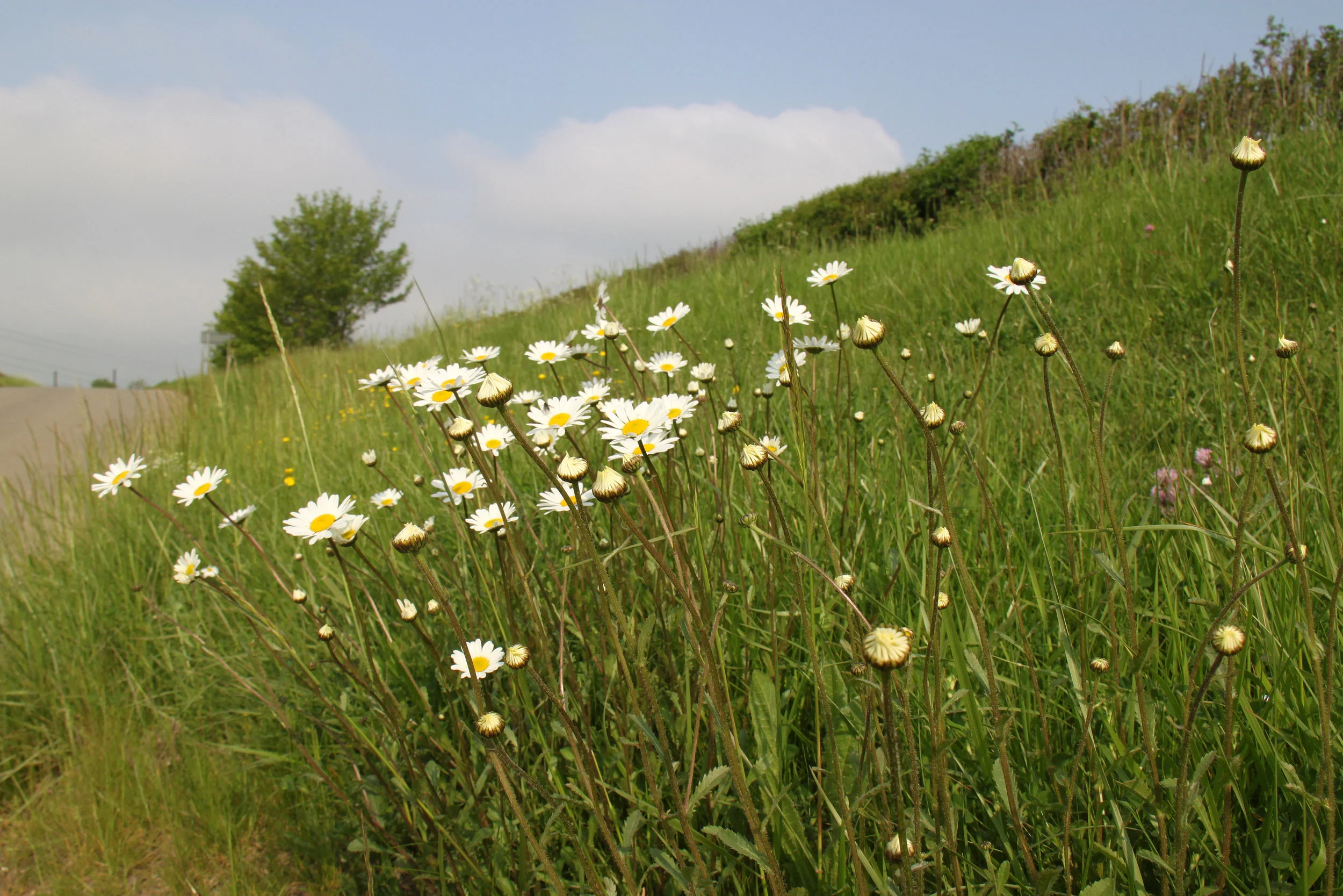 The Easton Estate — Easton Holiday Cottages, Lincolnshire