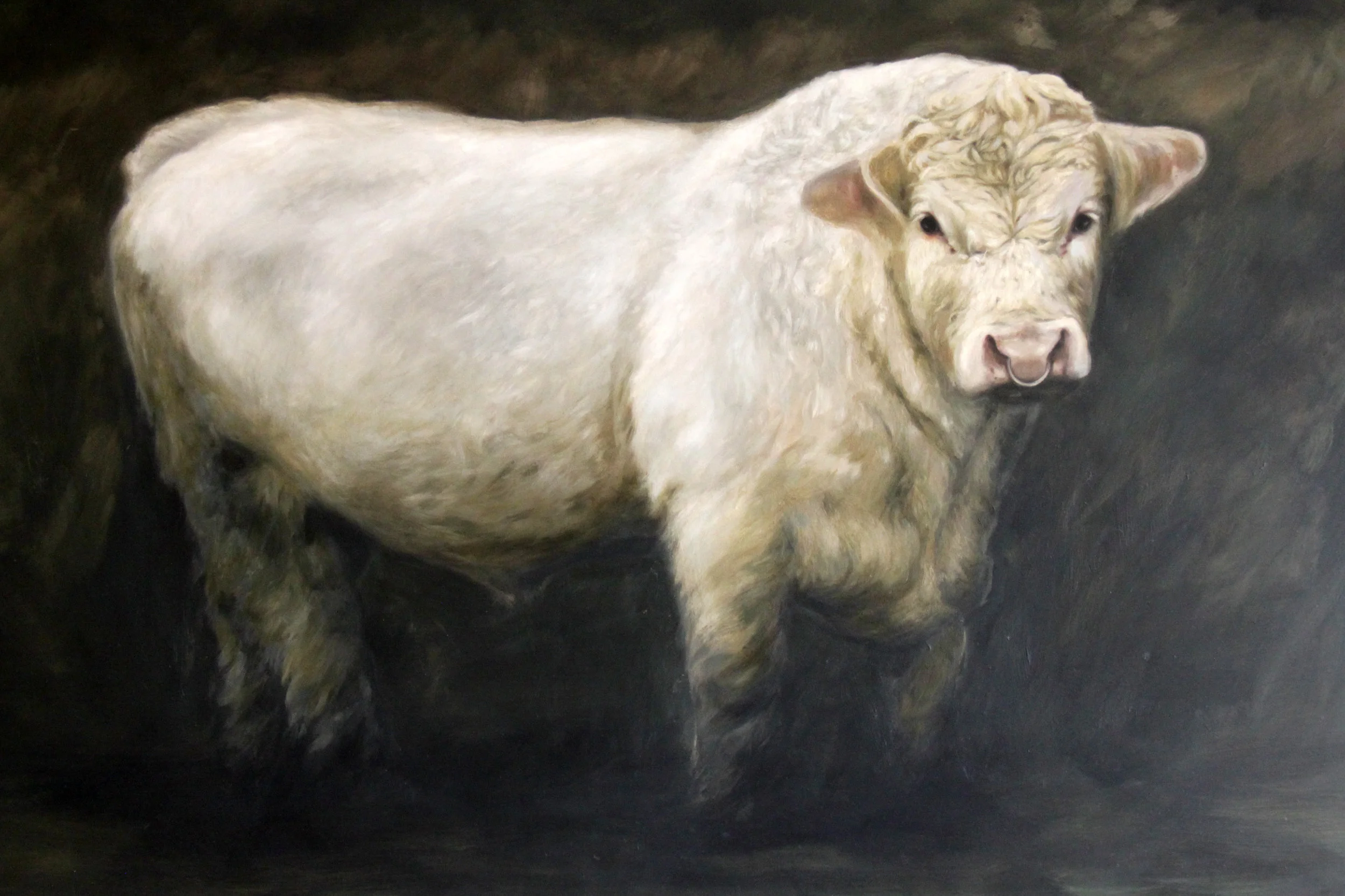 Art Gallery Lincolnshire