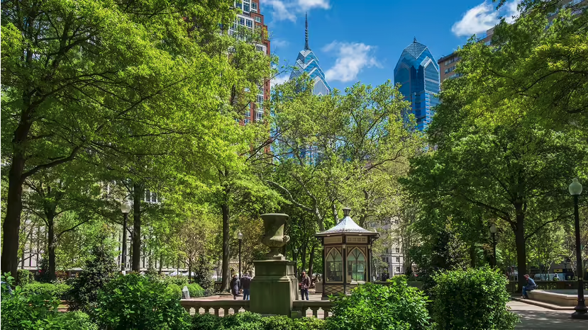 What Is Your City's Tree Equity Score?