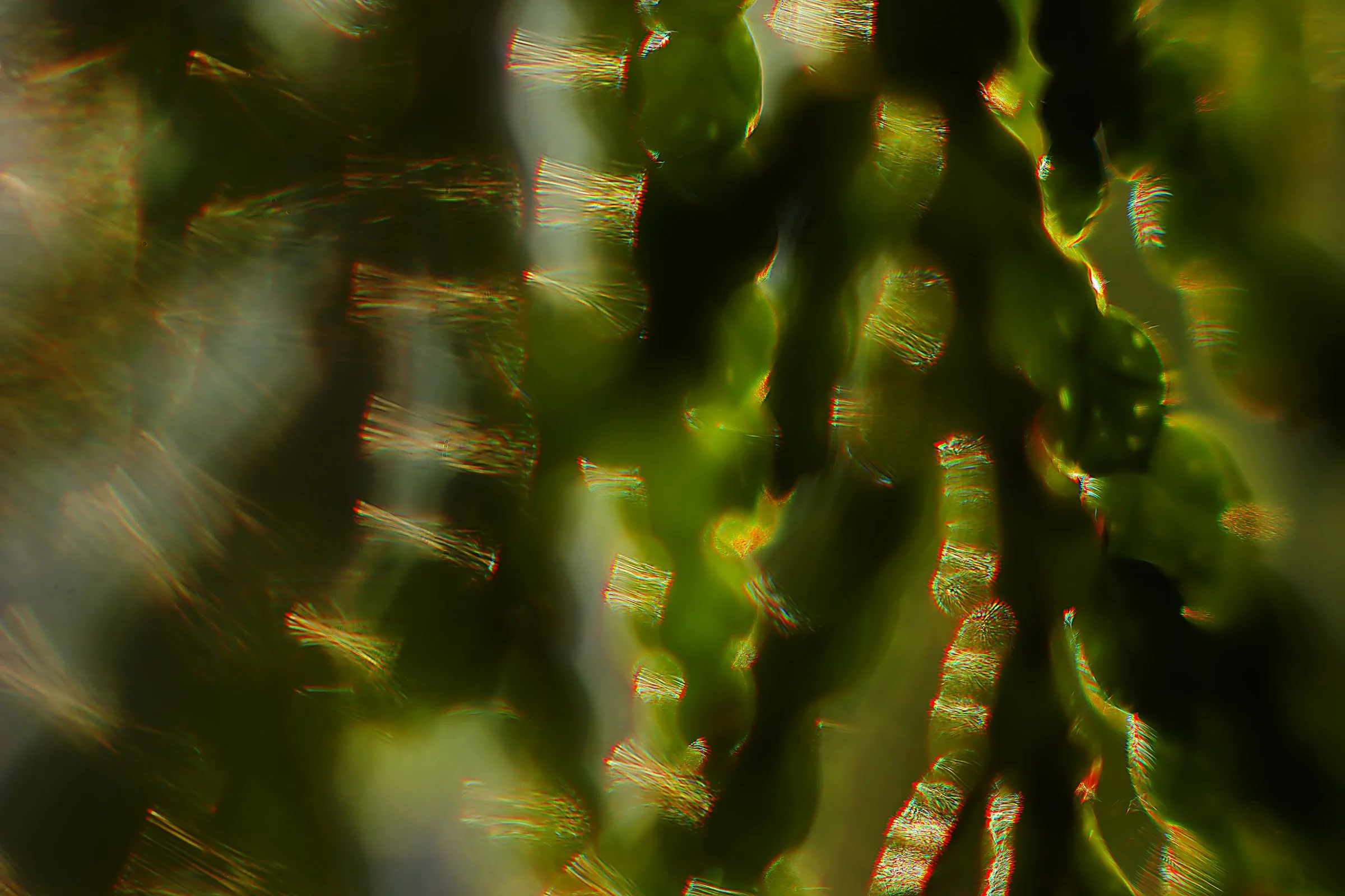 _DSC5113©MK.jpg
