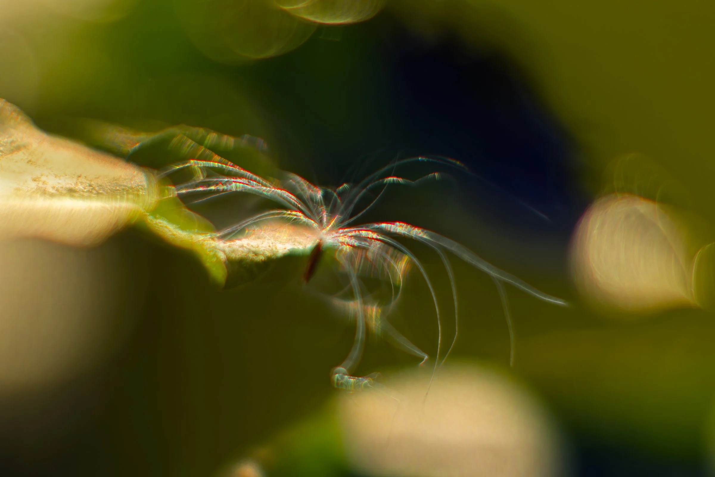 _DSC4287©MK.jpg