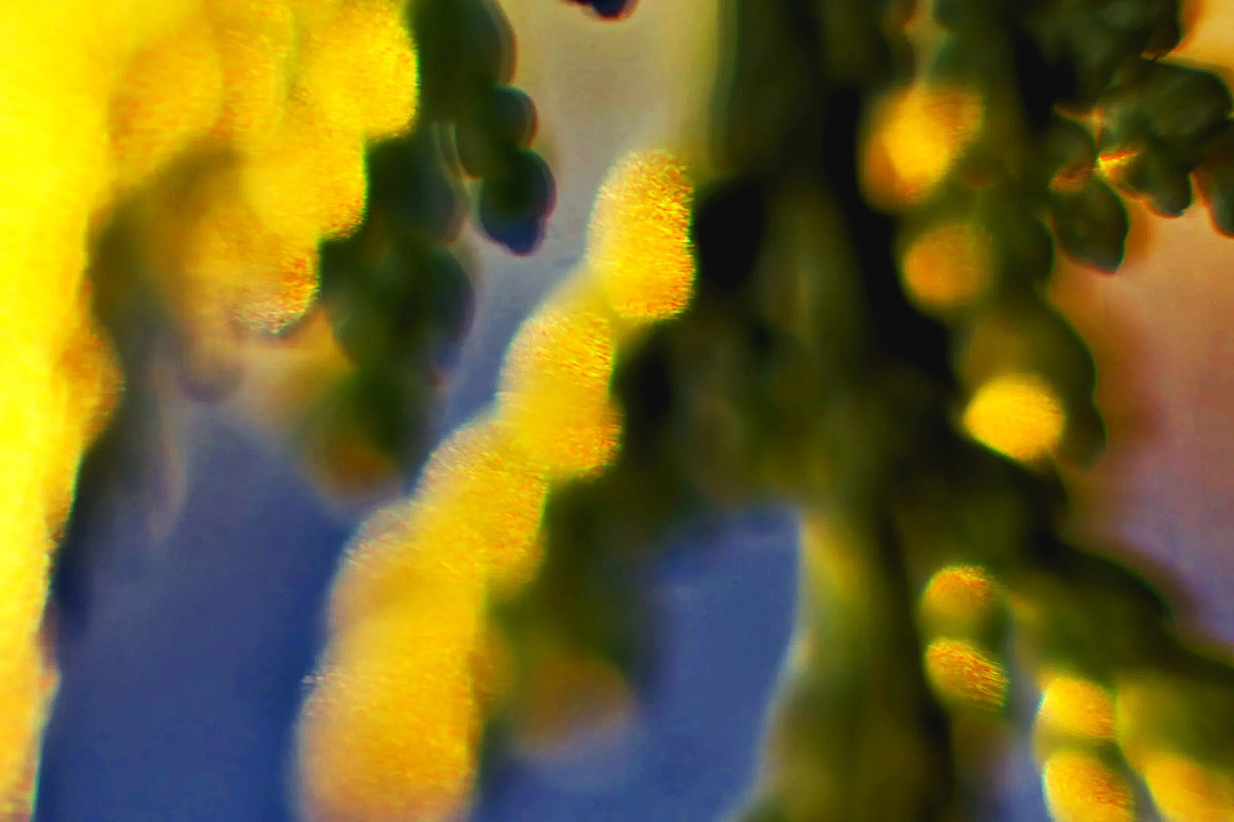 _DSC6826_%C2%A9MK.jpg