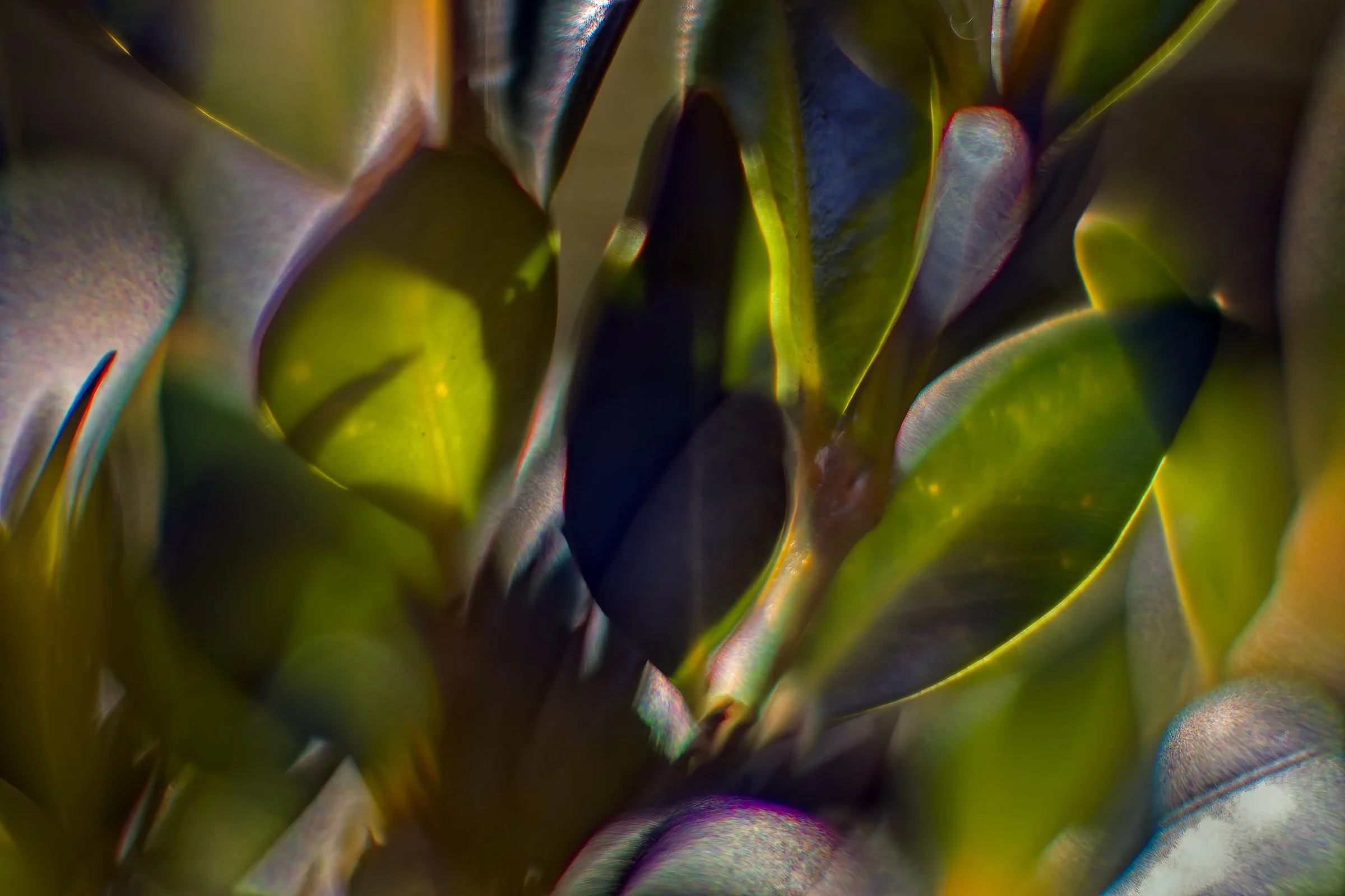 _DSC7834©MK.jpg