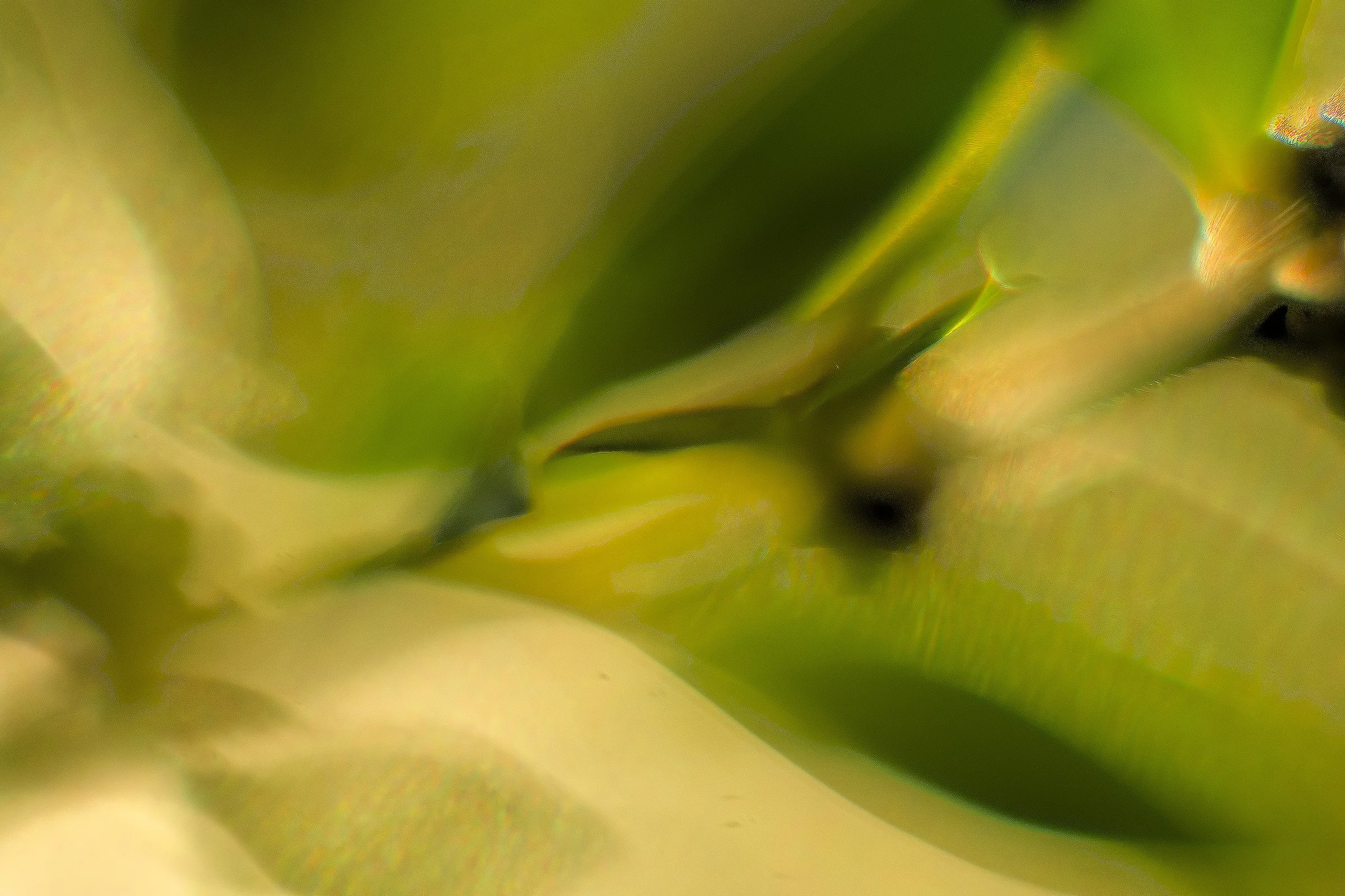 _DSC8359_-©MK.jpg