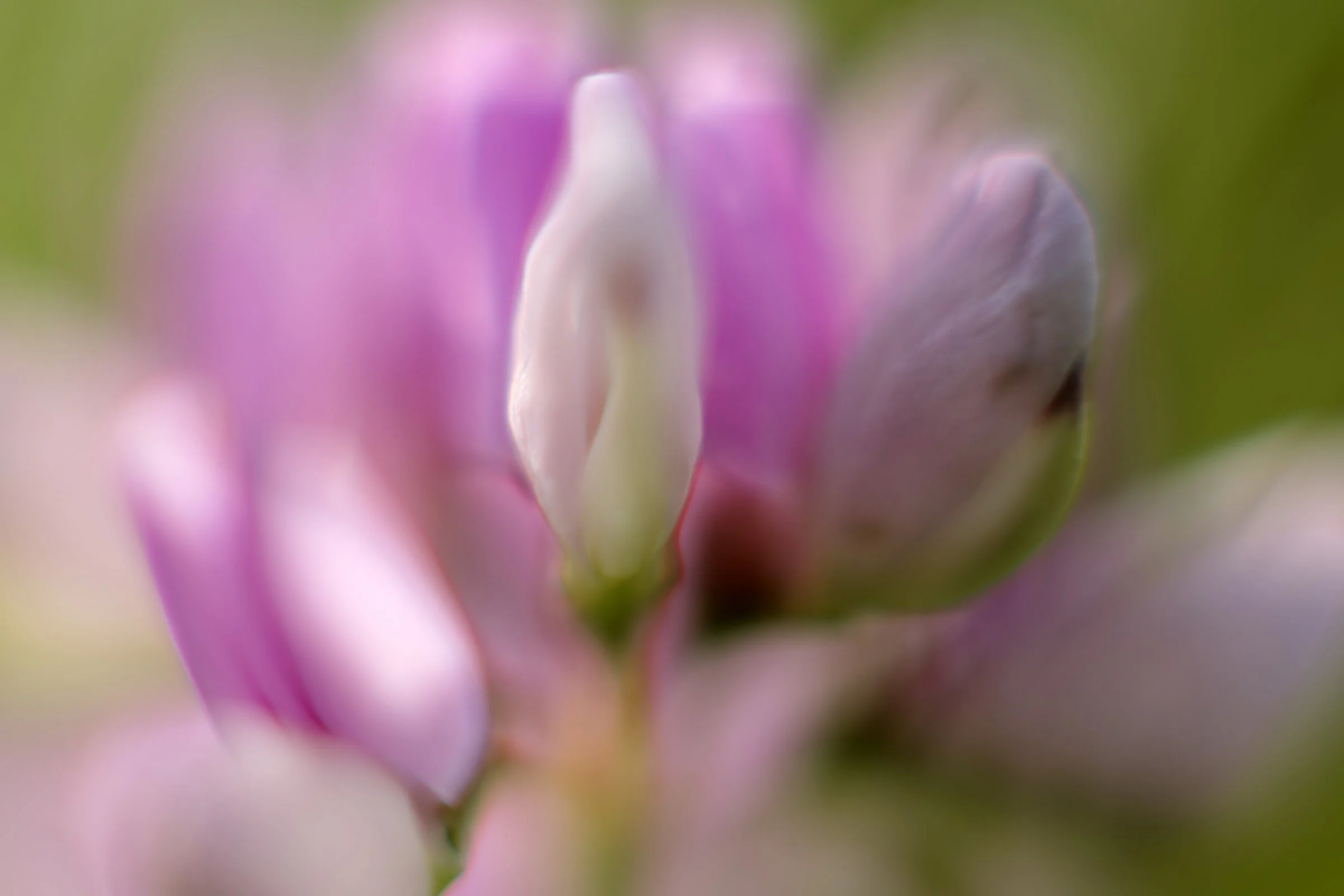 _DSC9861_©MK.jpg