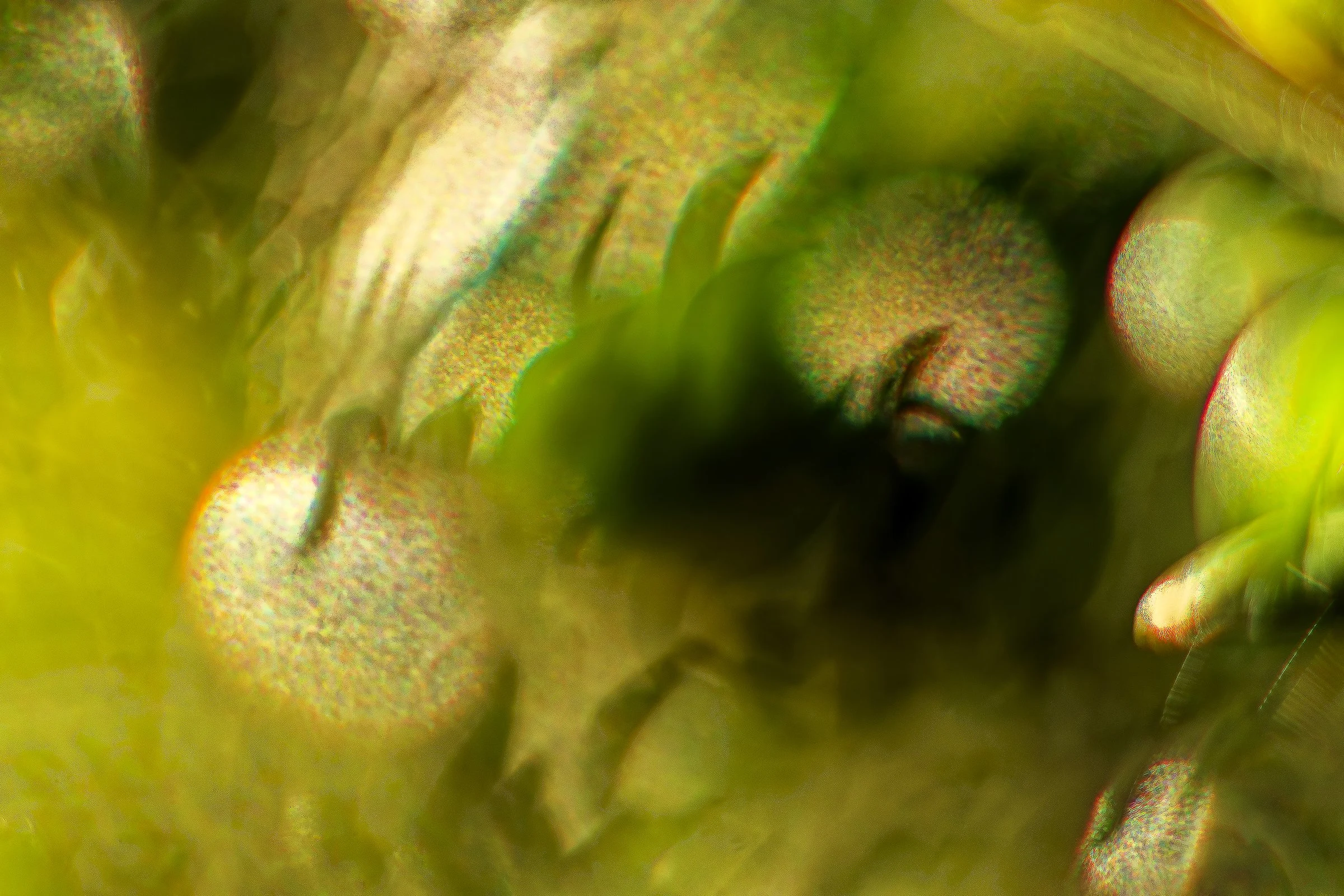 _DSC8311_©MK.jpg