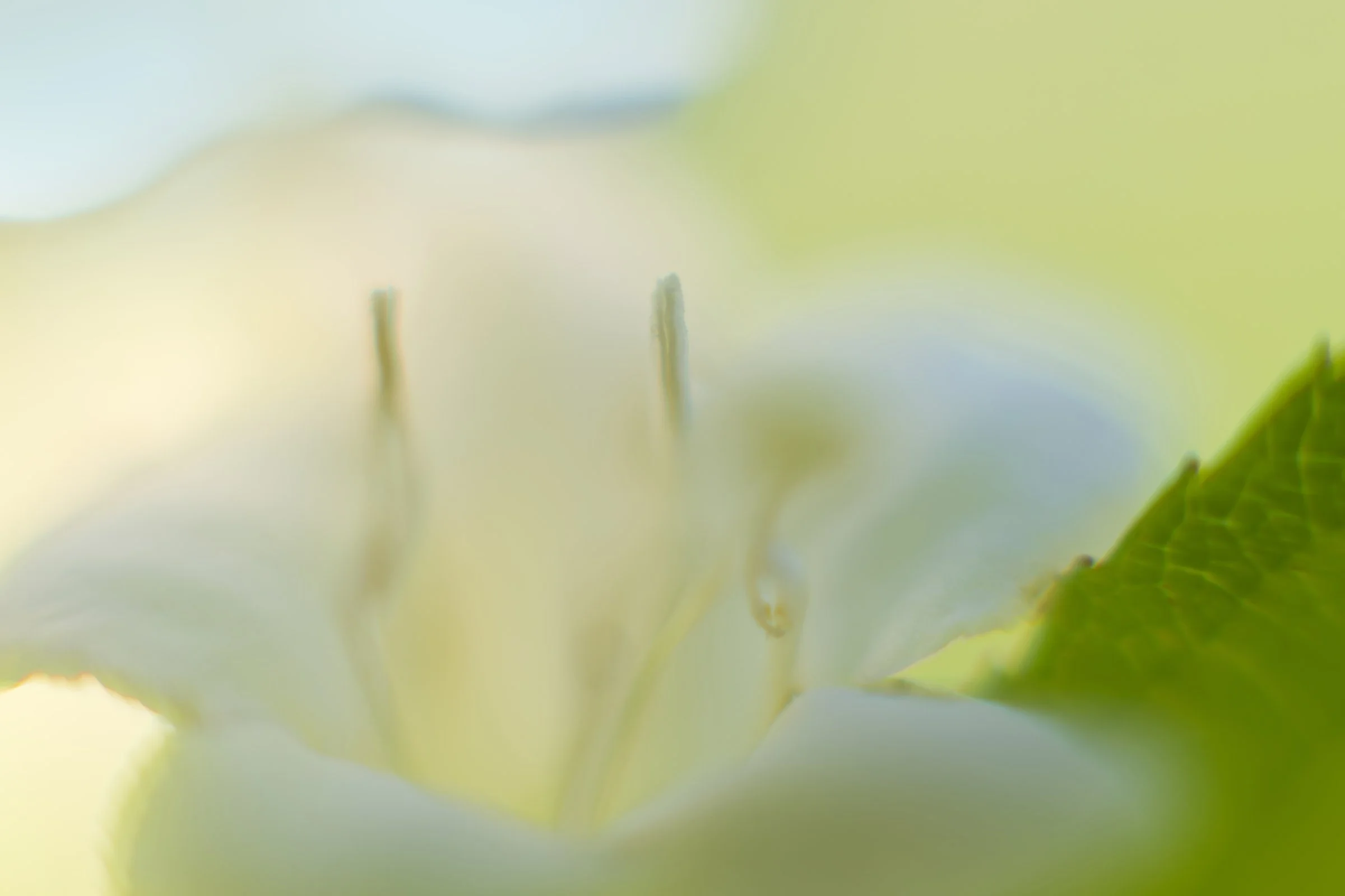 _DSC0206_©MK.jpg