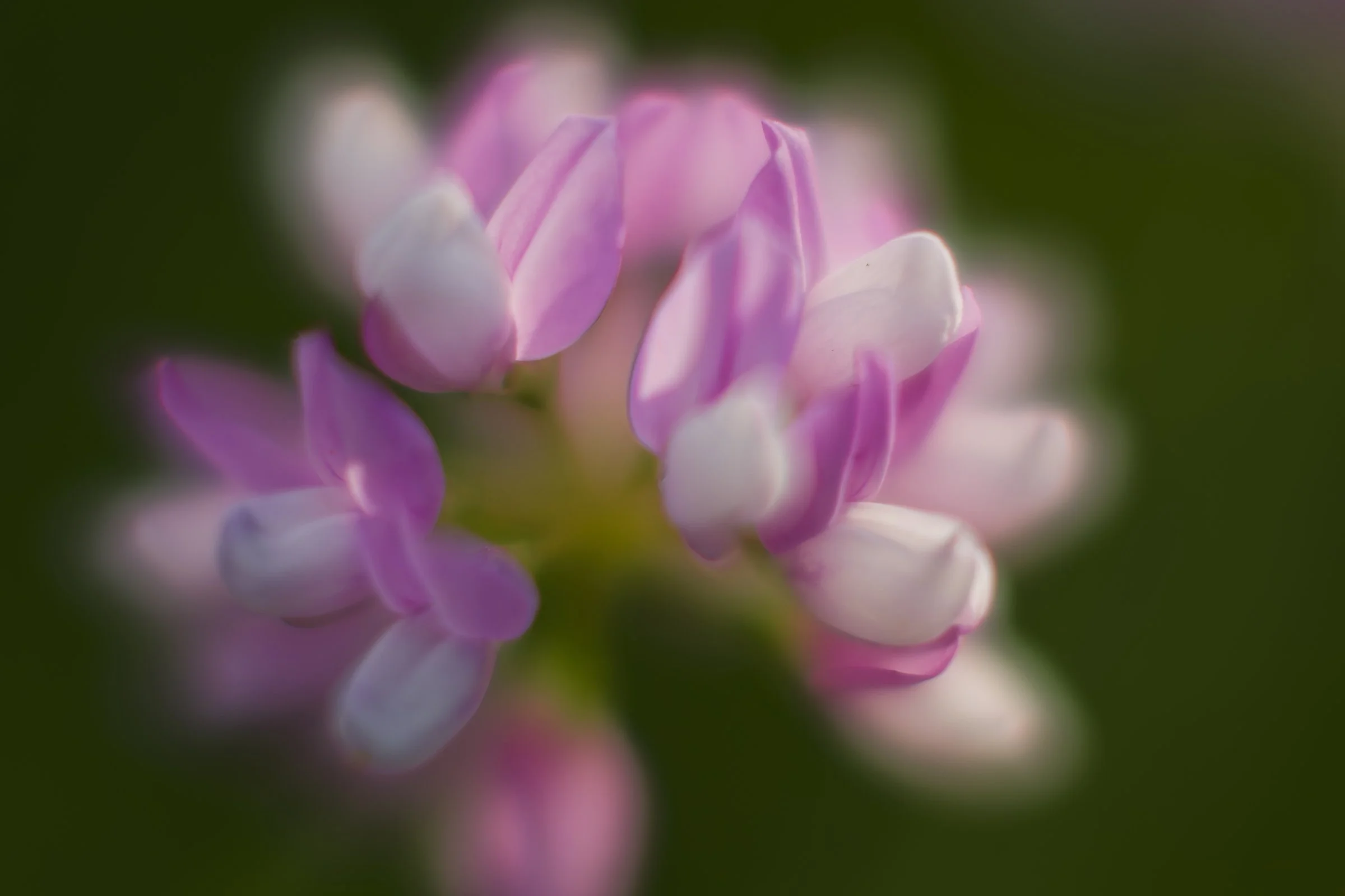 _DSC0117_©MK.jpg