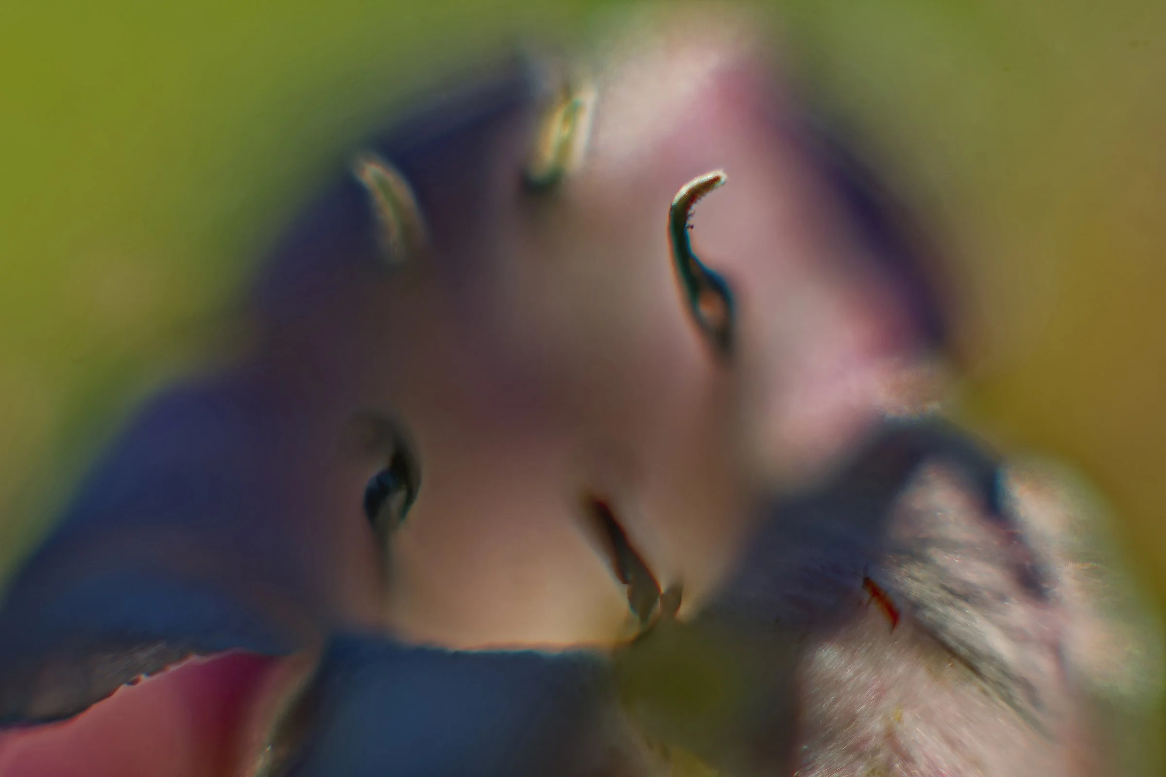 _DSC0214_©MK.jpg