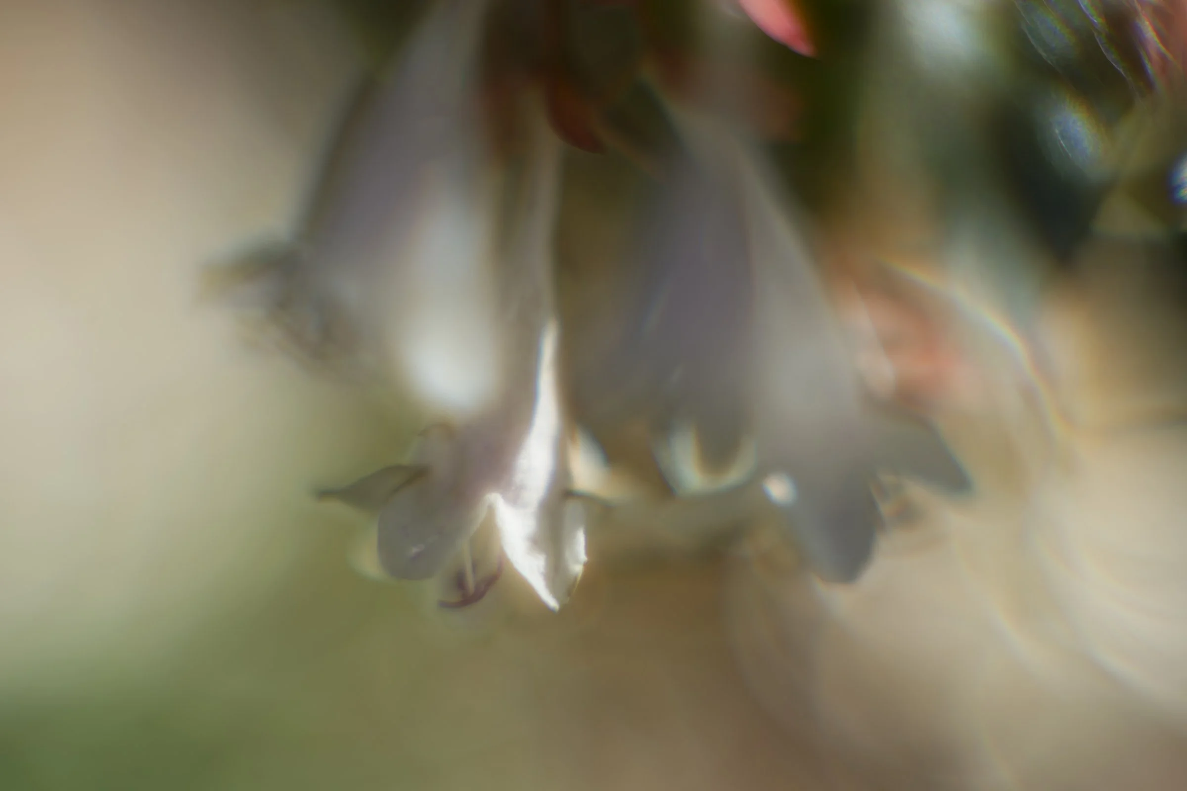 _DSC0140_©MK.jpg