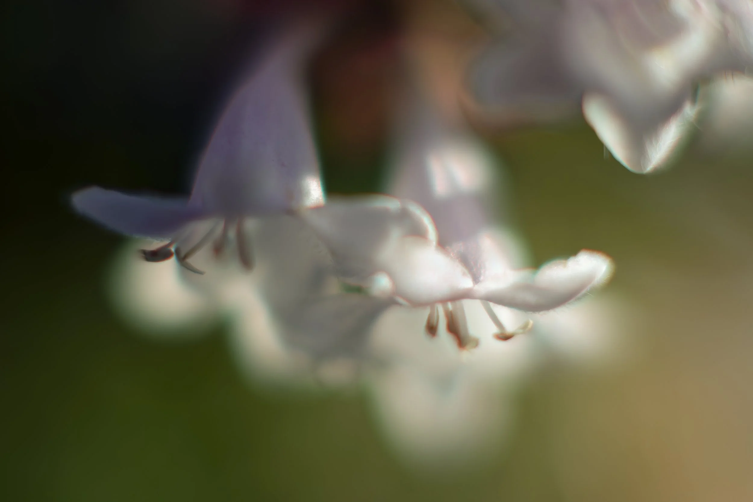_DSC0262_©MK.jpg