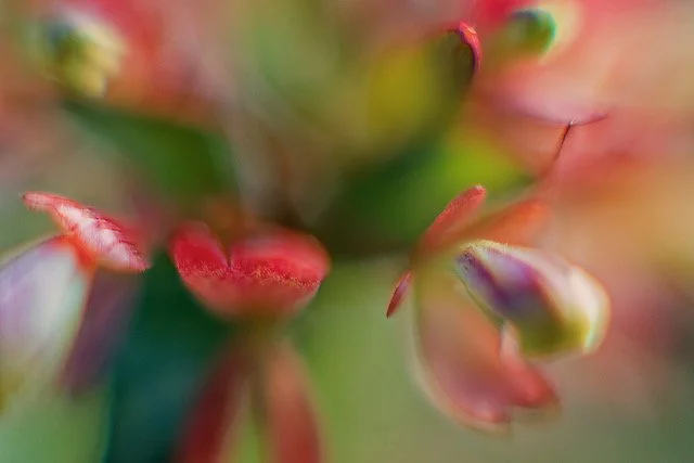 _DSC0366_©MK.jpeg