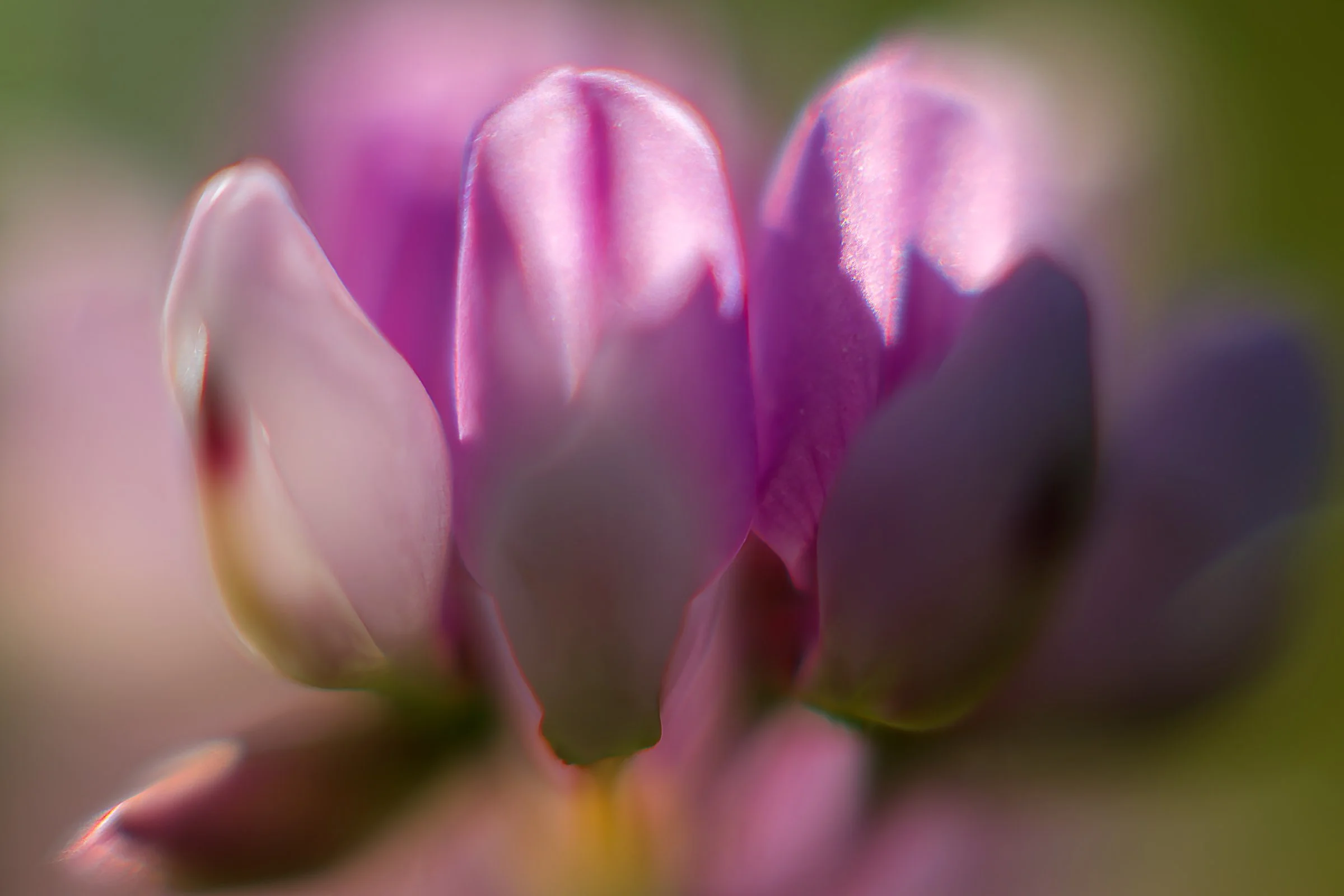 _DSC9894_openWith.jpg