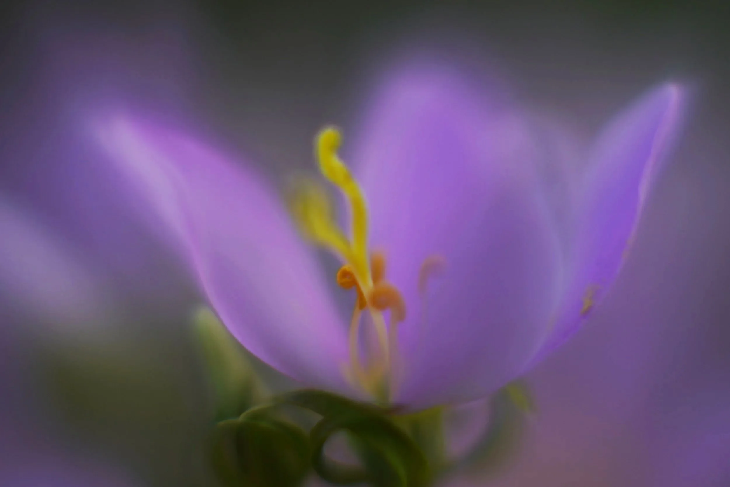 _DSC0839b.jpg