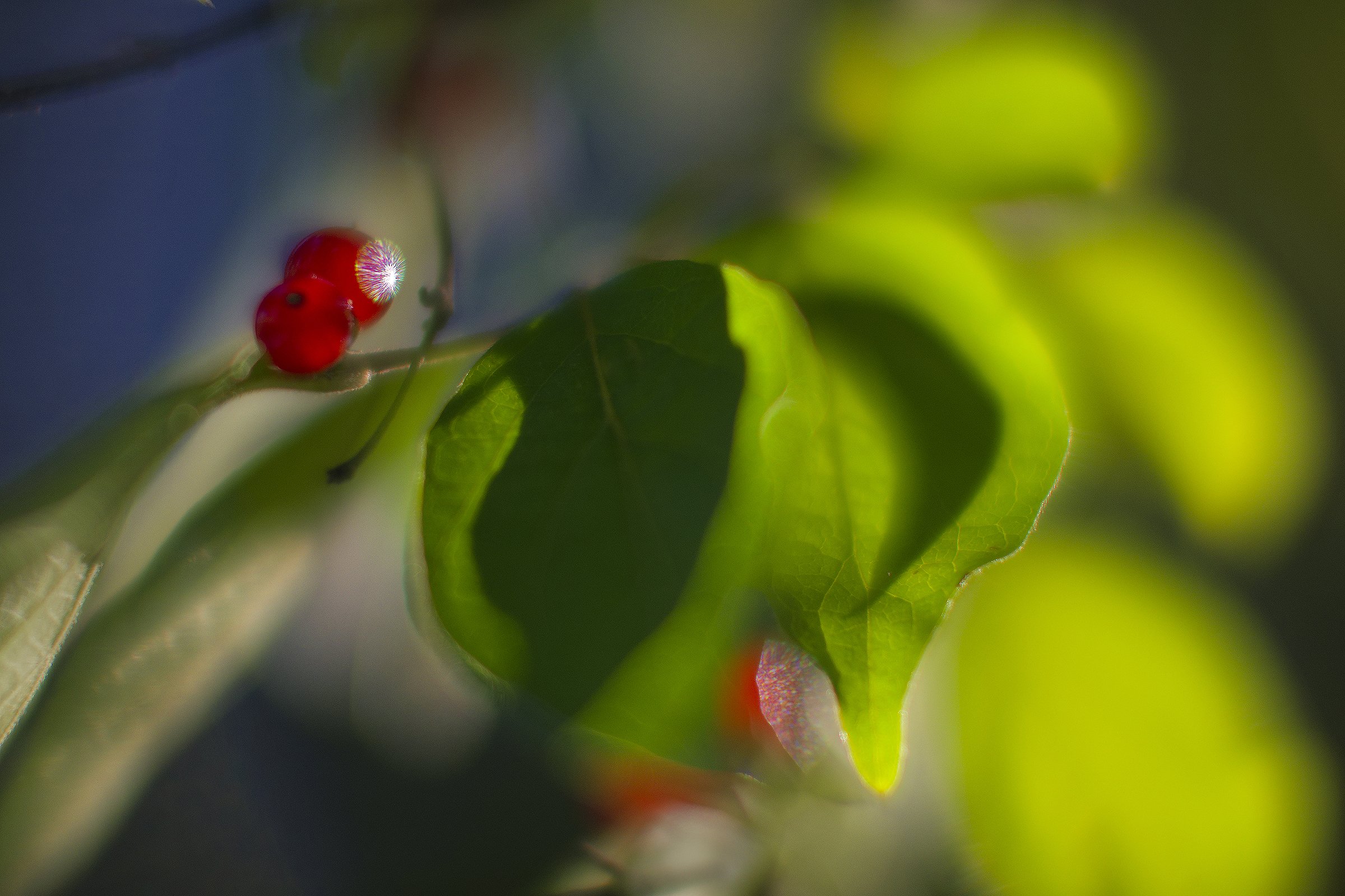 _DSC8160_©MK.jpg