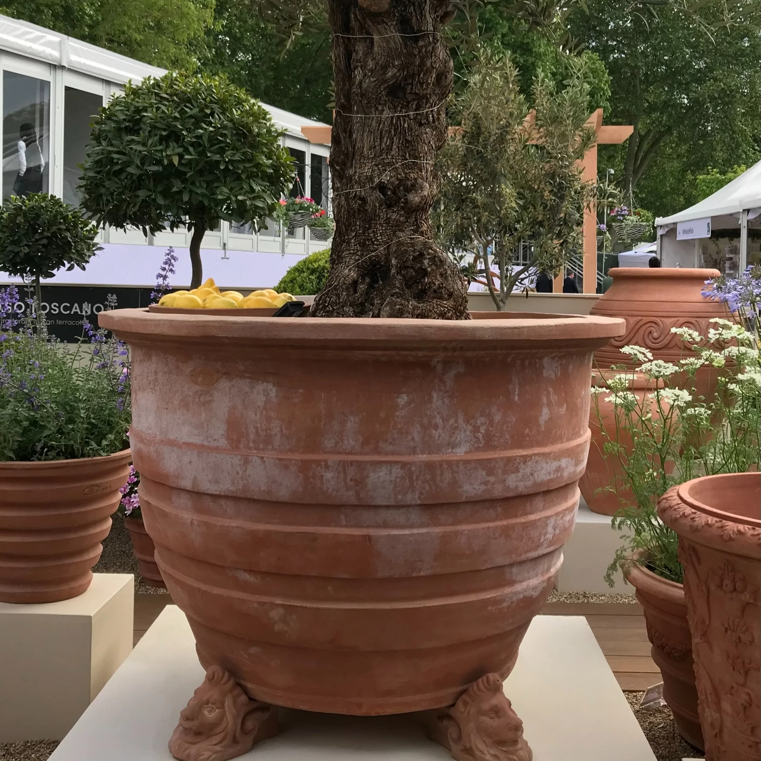 Large Outdoor Planters Terracotta Pots