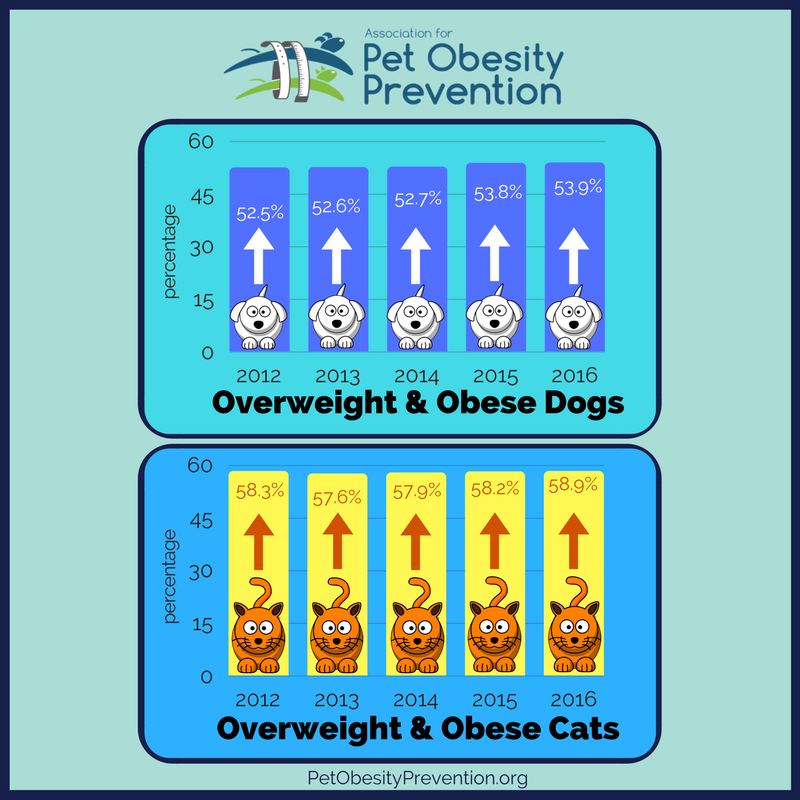 U.S. Pet Obesity Survey Results 2012 - 2016