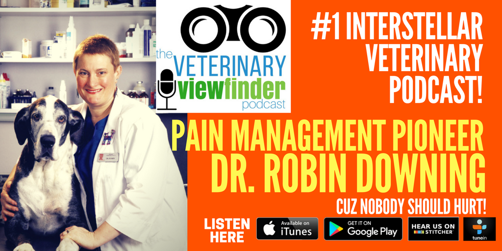 Dr. Robin Downing interview