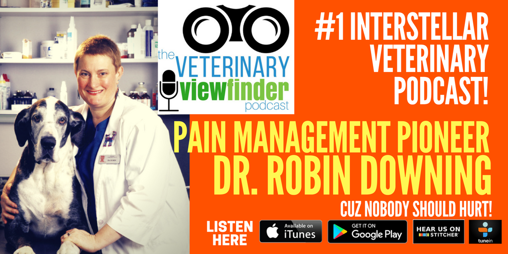 Dr. Robin Downing interview Dr. Robin Downing interview