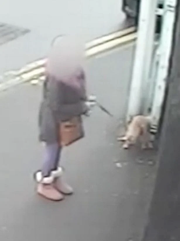Woman-hands-herself-in-after-video-of-her-letting-dog-mess-in-town-goes-viral.jpg