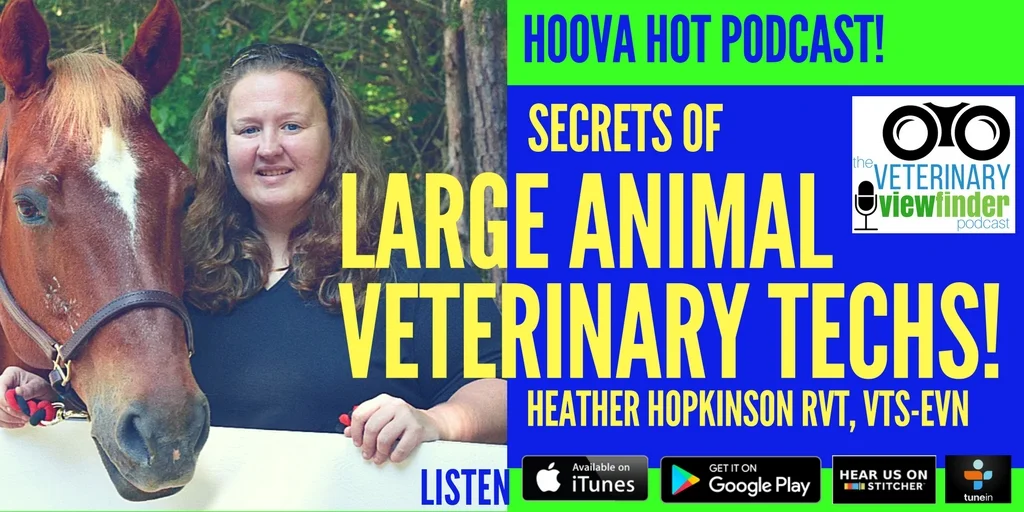 HEATHER HOPKINSON.jpg