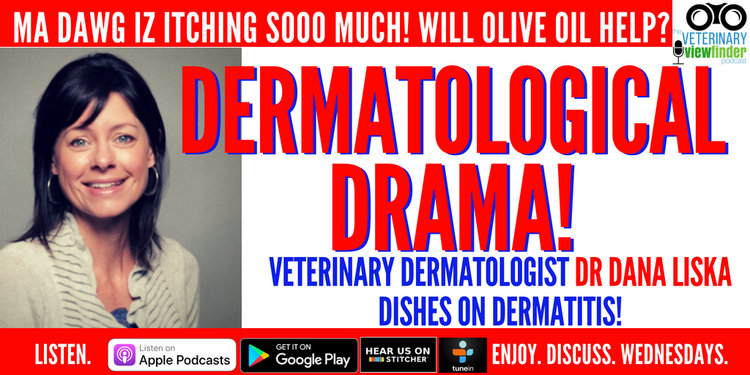 Dermatological Drama with Veterinary Dermatologist Dr Dana Liska ...