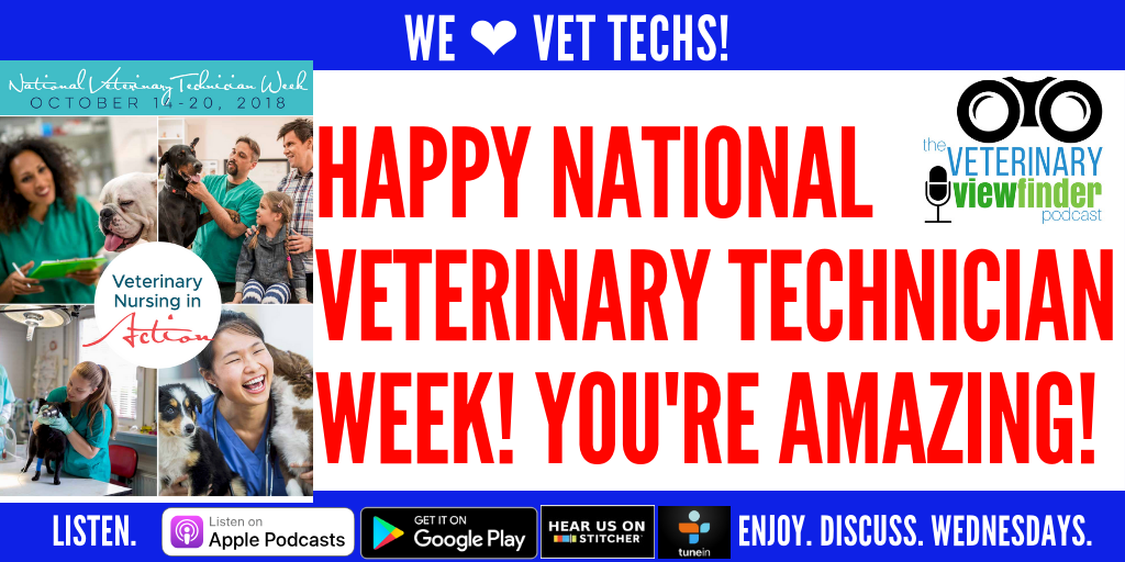 VETTECHWEEK.png
