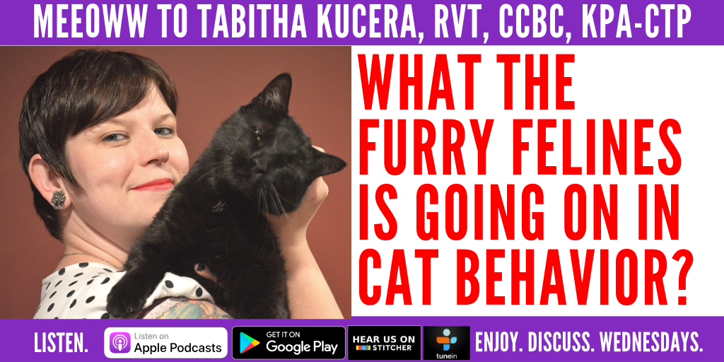 tabitha Kucera.png
