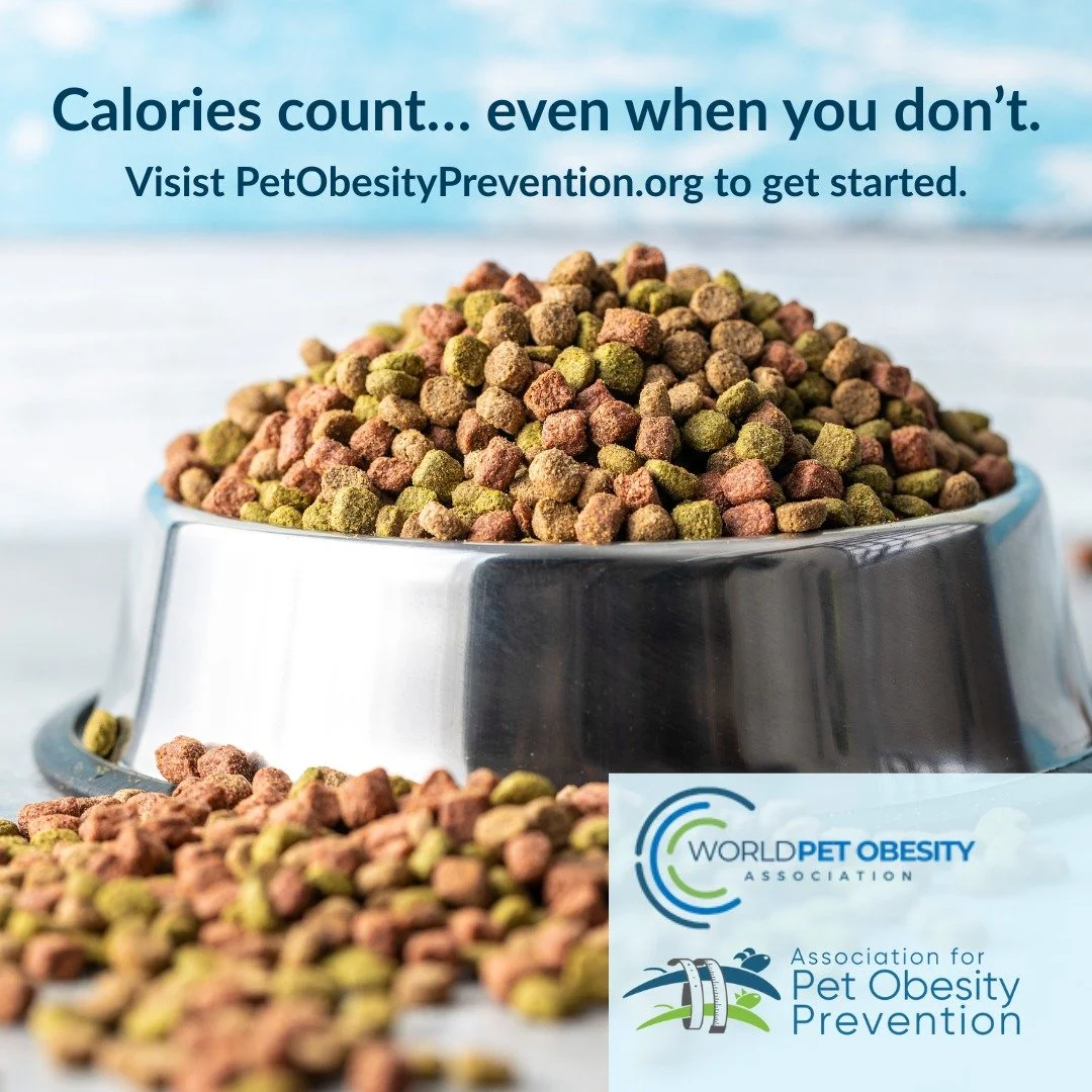 Veterinary Professionals &amp; Pet Parents, Take and Share the 2025 Pet Obesity &amp; Pet Food Opinion Survey - LINK IN BIO

Check out our NEW CALORIE CALCULATORS &amp; STEP-WEIGHT LOSS PLANNERS (For Veterinary Use). 

www.PetObesityPrevention.org

#