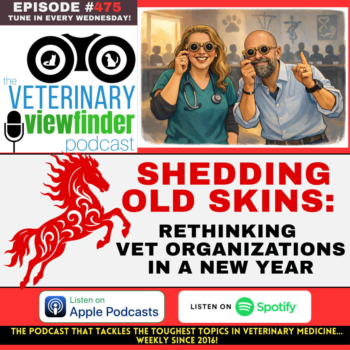 Shedding Old Skins: Rethinking Vet Organizations in a New Year