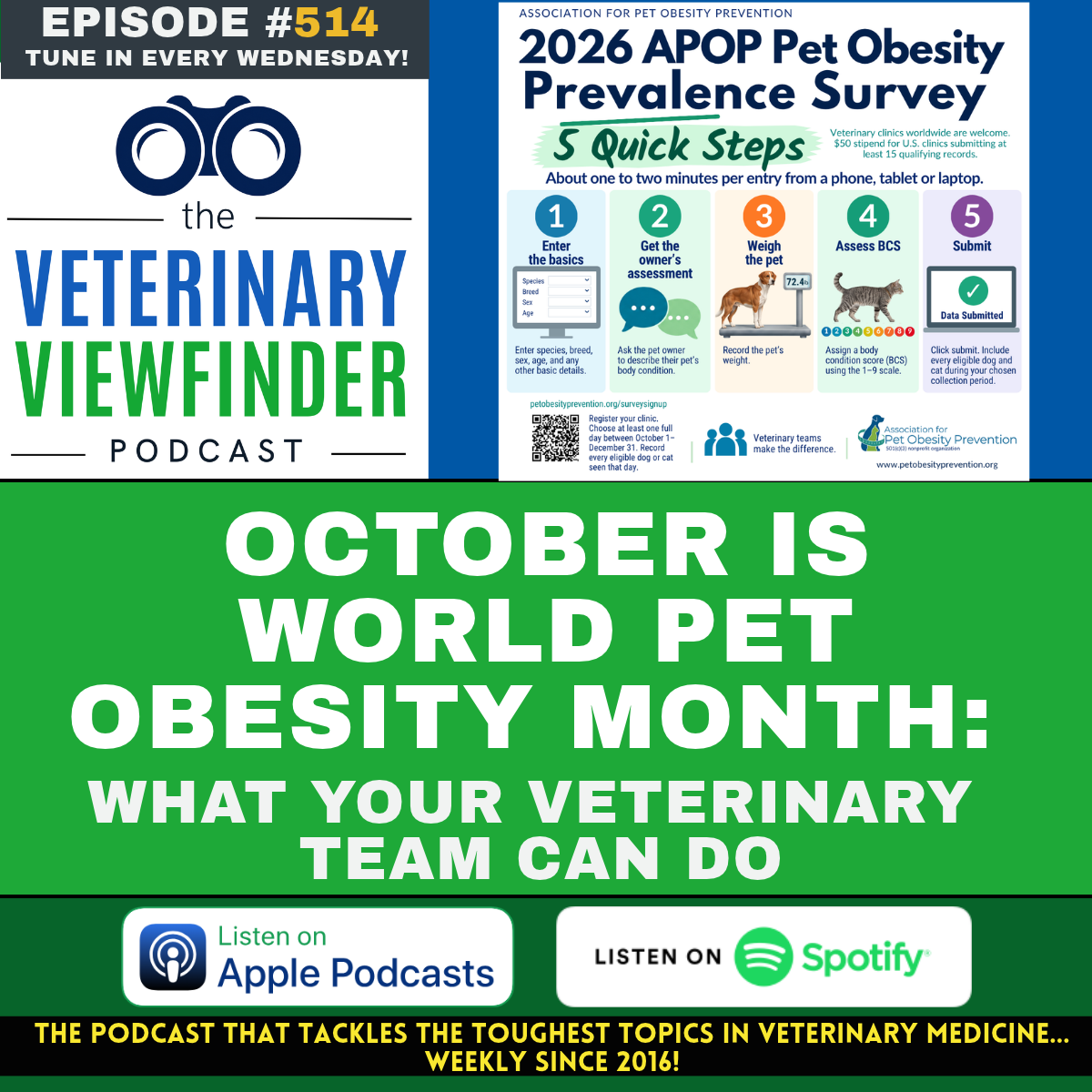 WORLD PET OBESITY MONTH: WHAT YOUR VETERINARY TEAM CAN DO