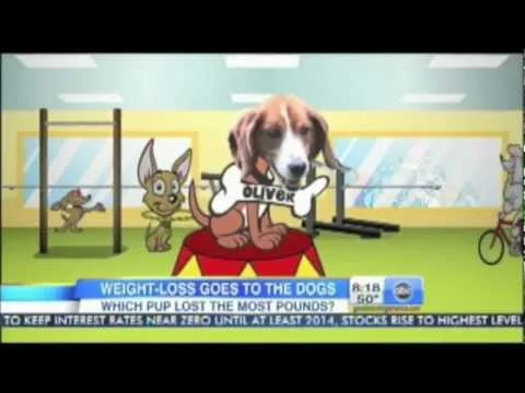 Dr. Ernie Ward discussing pet obesity on Good Morning America