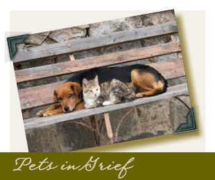petsingrief.png
