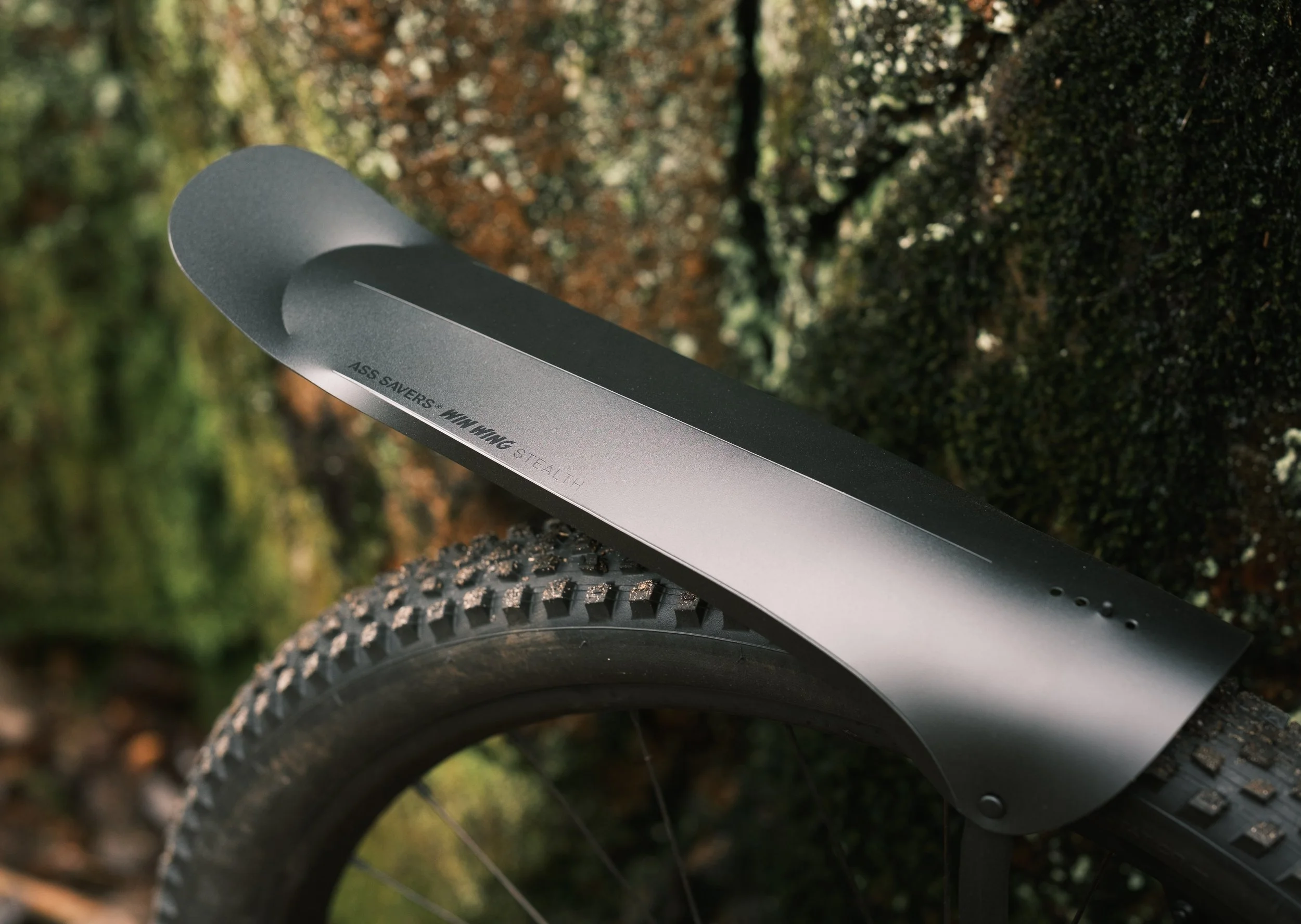 AS_Win_Wing_MTB_STH_03.jpg