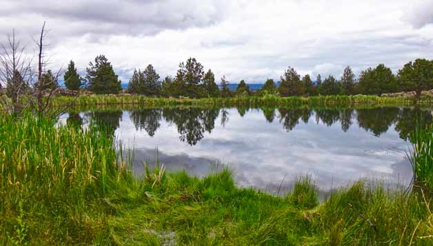 Mirror Lake