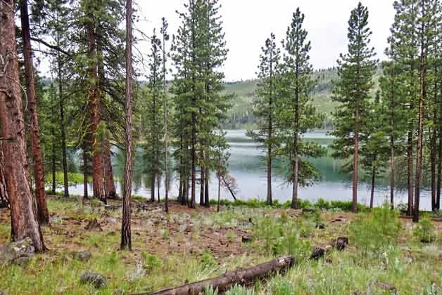 Blue Lake in forested setting