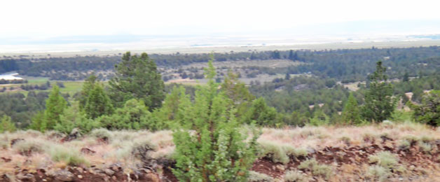 Pit River Valley, Modoc NWR & Dorris Reservoir in background